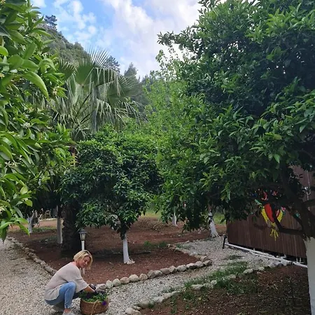 Truvapansiyon Kumluca