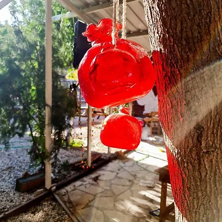 Truvapansiyon Homestay