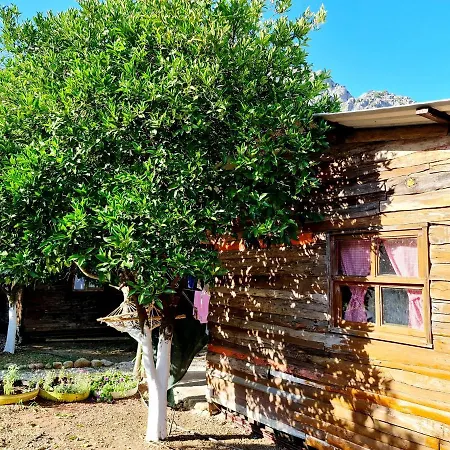 Truvapansiyon Habitación en casa particular *