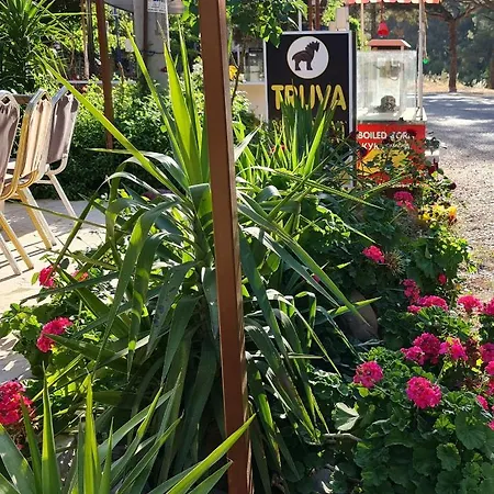 Truvapansiyon * Kumluca